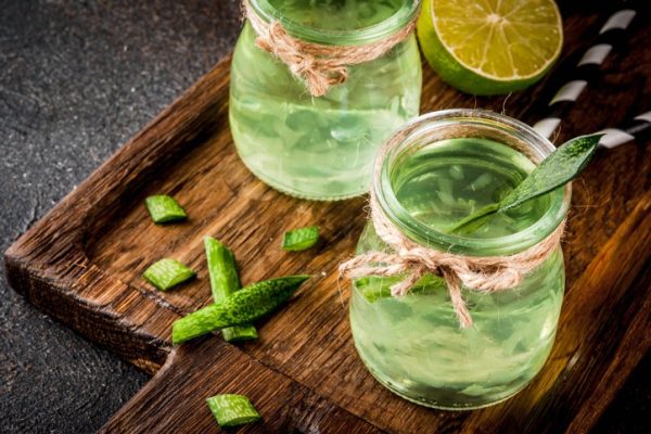 Cactus Water, The Desert’s Hidden Hydration Hero