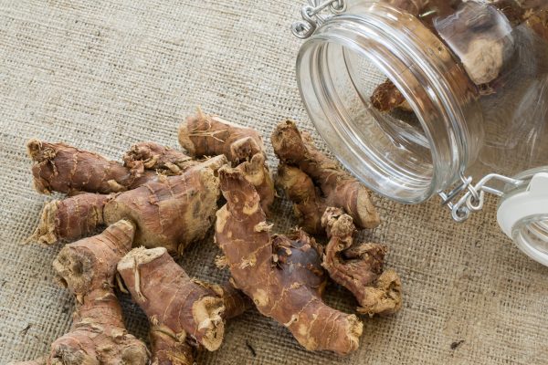 Galangal, Southeast Asia’s Zesty Root Spice with Real Health Punch